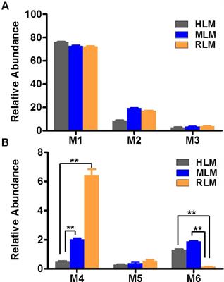 The Metabolism of Separase Inhibitor Sepin-1 in Human, Mouse, and Rat Liver Microsomes